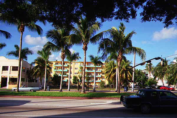 Shade Tree View - © 2000 Jimmy Rocker Photography