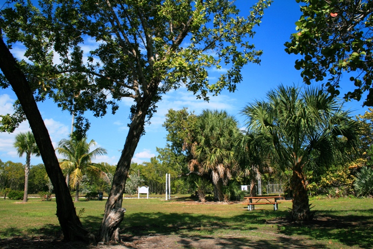 Majestic Afternoon at Beautiful Virginia Key Beach Park