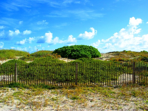 Green Burger Hill - © 2oo9 JiMmY RocKeR PhoToGRaPhY