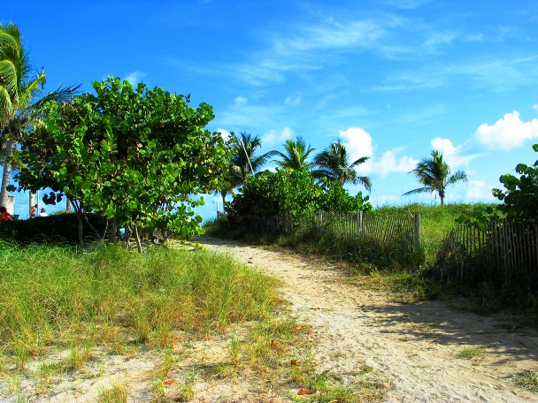 Path to the Beach - © 2oo9 JiMmY RocKeR PhoToGRaPhY